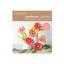Kit Gerberas papel esmerilado