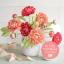 Kit Camelias papel esmerilado