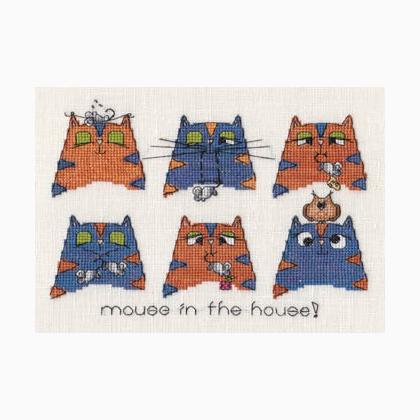 Mouse In The House