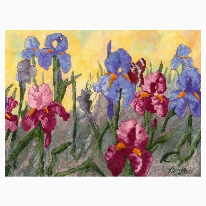 Iris & Monarch