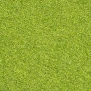 Fieltro The Matcha