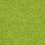 Fieltro The Matcha