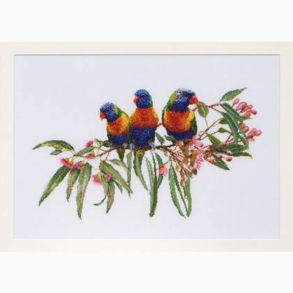 Lorikeets - Lino