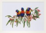 Lorikeets - Lino