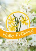Hallo Frühling