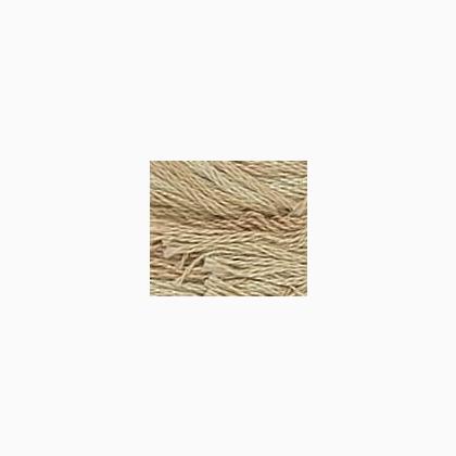 Mariner\'s Compass