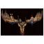 Deer Land