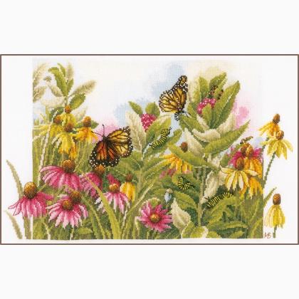 Echinacea y mariposas