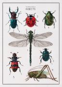 The History of Insects