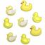 Duckies - 4351