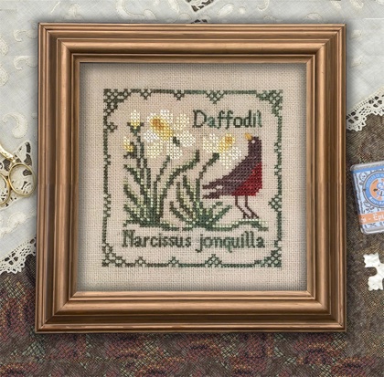 Narcissus Jonquilla - Botanical Stitches