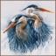 Gran Garzas azul