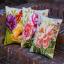 Cojín: Rosas