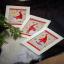 Tarjetas de felicitaciones: Gnomos de navidad