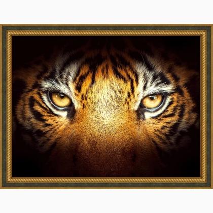Tiger Look