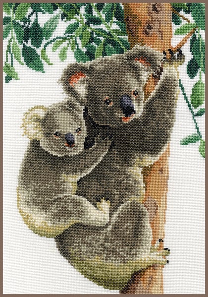 Koala con bebé