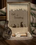 Let it Snowdrop