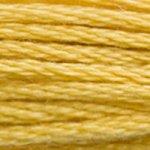 DMC Mouliné 3821