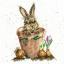 The Flower Pot