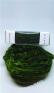 Chenille Soie Ovale 2126