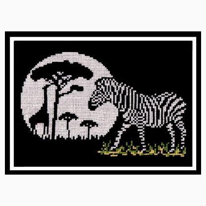 African Night