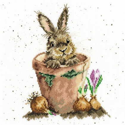 The Flower Pot