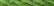 Princess Perle Petite - 099 - Spring Green