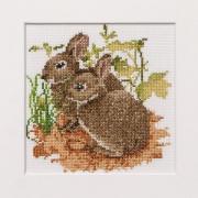 Bunnies
