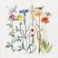 Wildflowers