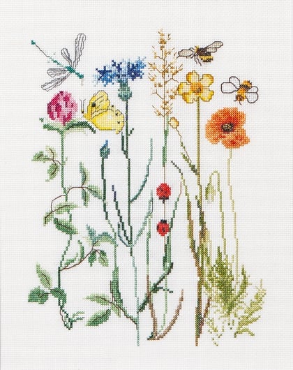 Wildflowers