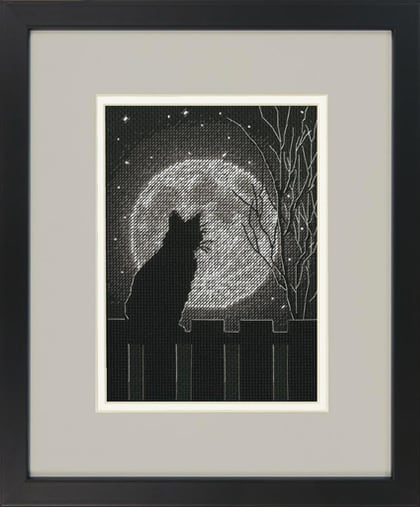 Gato de luna negra
