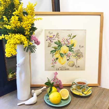 Etude Aux Citrons- Lino