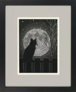 Gato de luna negra