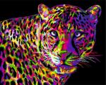 Colored Leopard