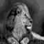 King of Beasts
