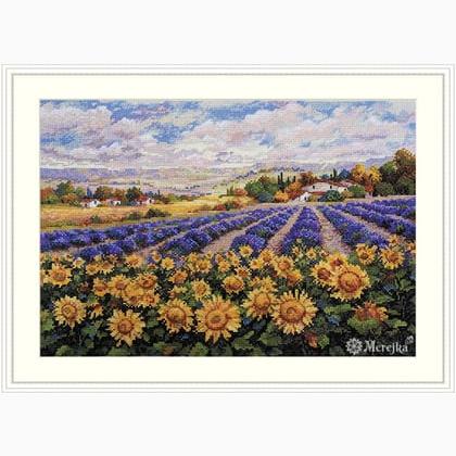 Fields of Lavender and Sun
