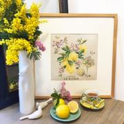 Etude Aux Citrons- Lino