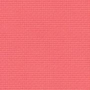 Aida 55 (14ct.) Coral