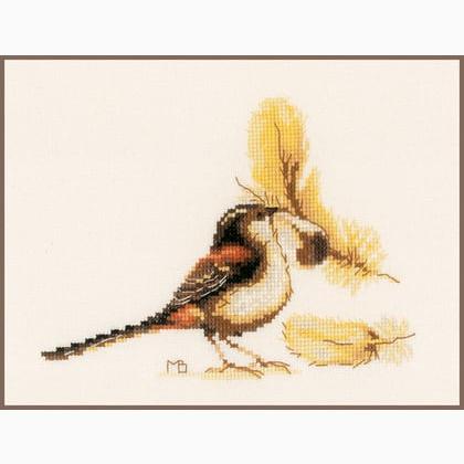 Chaffinch