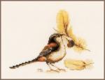 Chaffinch