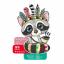 Indian Racoon
