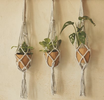 Mis maceteros colgantes - Kit Macramé