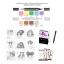 Kit de Descubrimiento Spectrum Noir - Aventuras en color