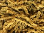 Honey Whiskey Chenille (3yds)