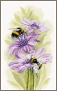 Abejas bailarinas