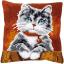 Almohada: Gato con collar