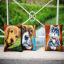 Almohada: Gato con collar