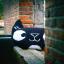 Almohada: Eva Mouton - Gato negro