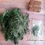 Hilo de seda - Pine