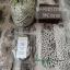 Hilo de seda - Mossy stone